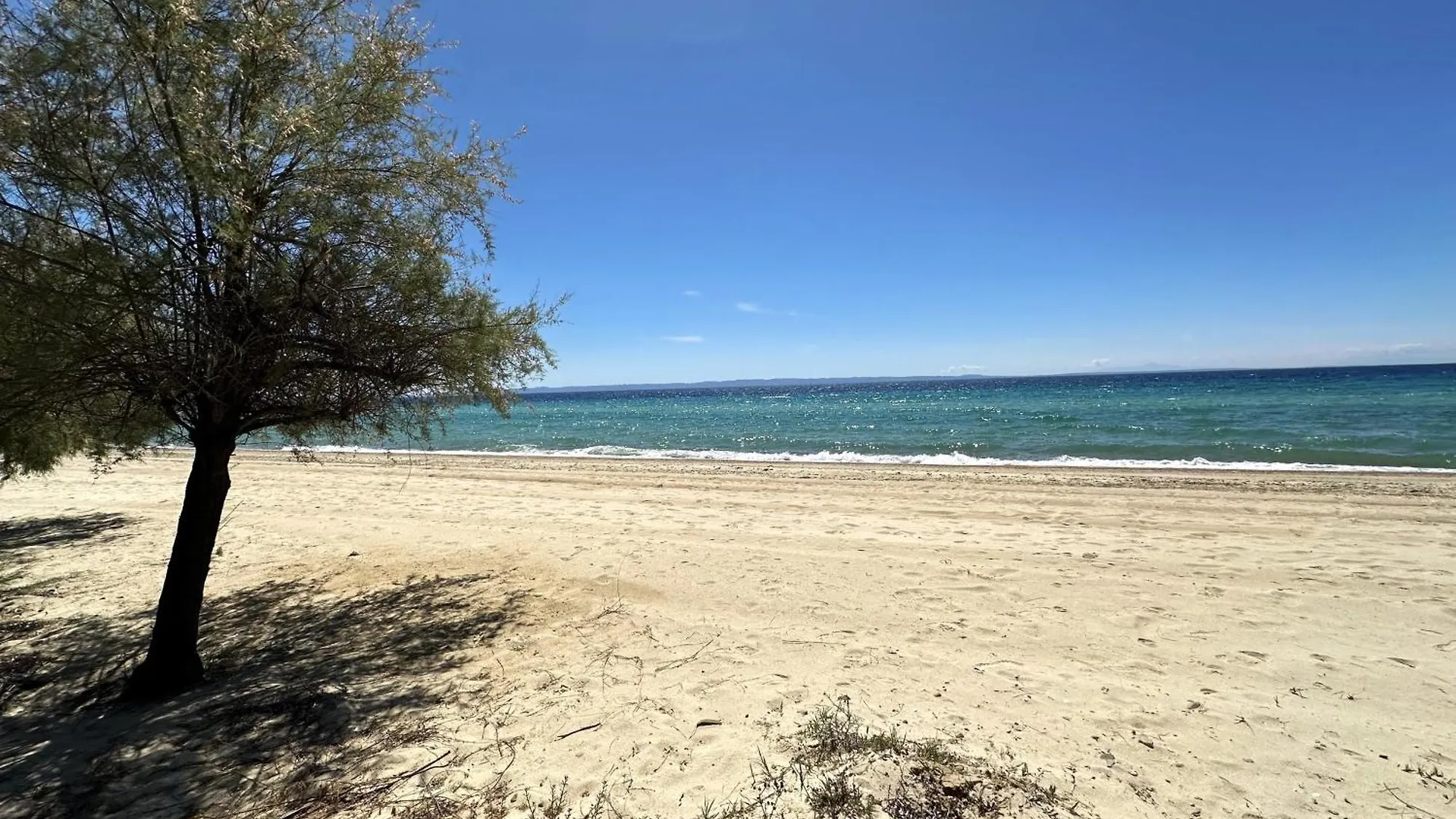 Sea And Sun Apartment Nikiti  Greece